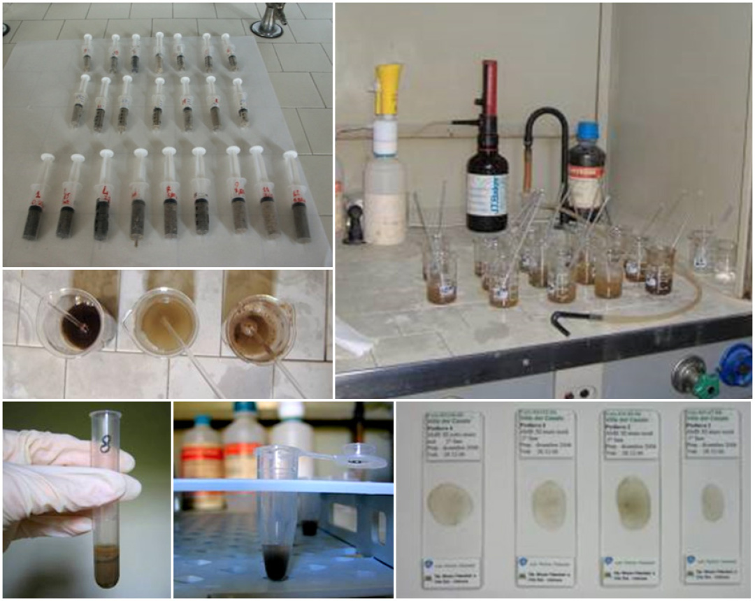 Palynological and archaeobotanical analyses